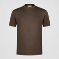 Brown Shiny T-Shirt